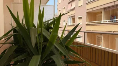 Apartment in Playa del Cura photo 2