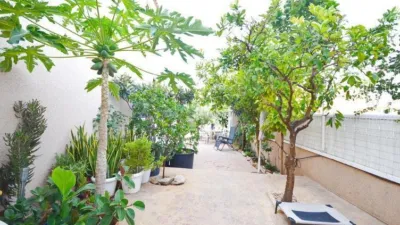 Chalet in La Zenia photo 33