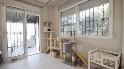 Chalet in La Zenia photo 12