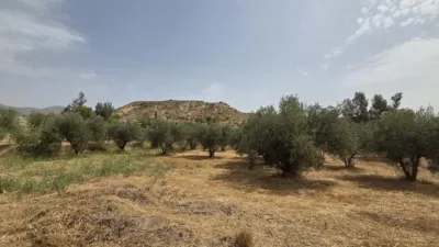House in Huitar photo 3