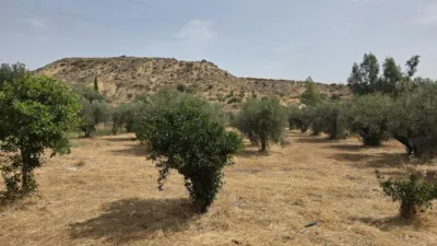 House in Huitar photo 6