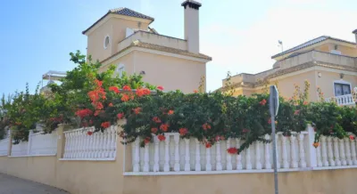 Chalet in La Zenia photo 34