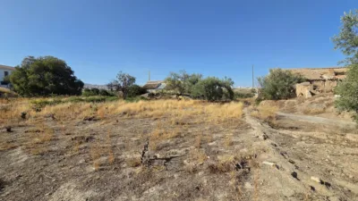 House in the Outskirts photo 6