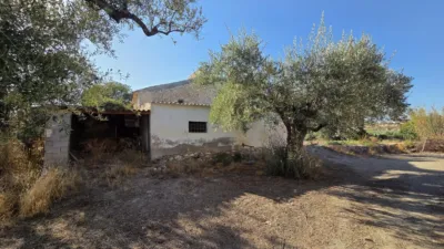 House in the Outskirts photo 3