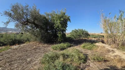 House in the Outskirts photo 7