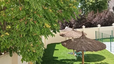 Apartment in Retiro photo 24