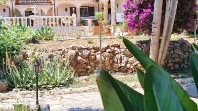 Apartment in Pedreguer photo 16