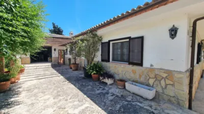 Apartment in Pedreguer photo 18