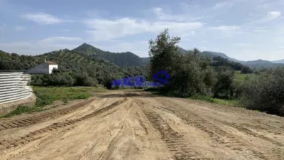 Rustic Finca in Adamuz photo 4