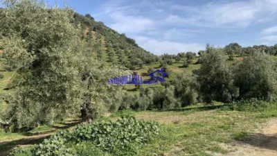 Rustic Finca in Adamuz photo 2