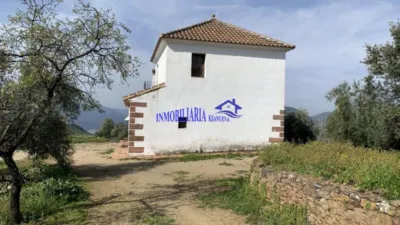 Rustic Finca in Adamuz photo 9