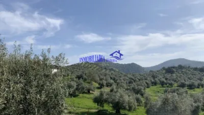 Rustic Finca in Adamuz photo 5