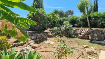 Apartment in Pedreguer photo 17
