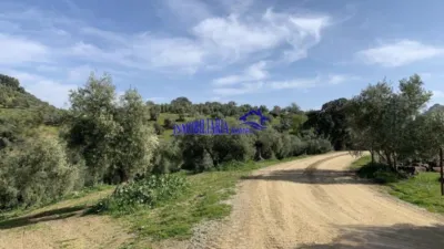 Rustic Finca in Adamuz photo 6