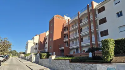 Apartment on Calle Artemisa photo 4