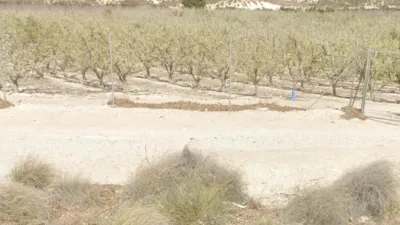 Rustic farm for sale in Venta del Olivo photo 3
