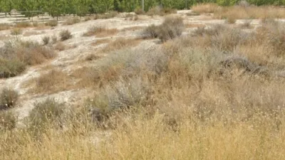Rustic farm for sale in Venta del Olivo photo 6