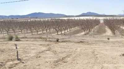 Rustic farm for sale in Venta del Olivo photo 4