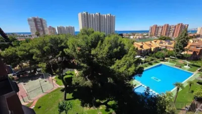 Piso – Alicante - Alacant - Más