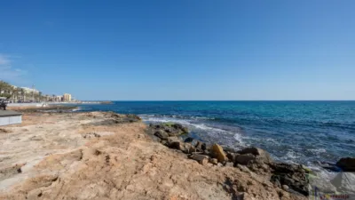Piso – Torrevieja - Más