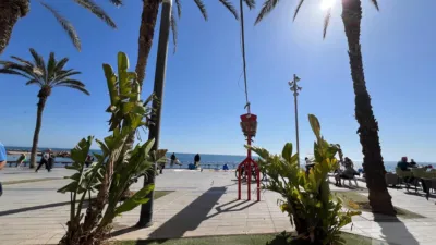 Pis – Torrevieja - Vista 3
