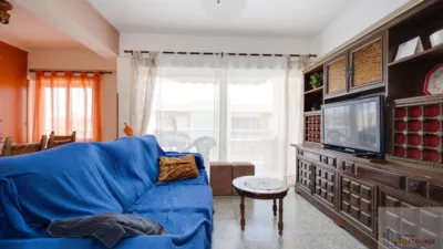 Piso – Orihuela - Vista 2