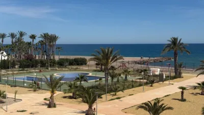 Apartment in Vera Naturista First Line photo 5