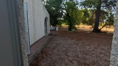 House in Zona Ermita San Jose near Mandola photo 12