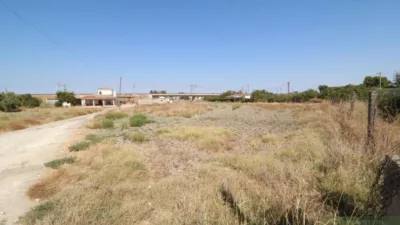 House in Guadalcacin photo 3