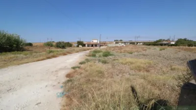 House in Guadalcacin photo 4