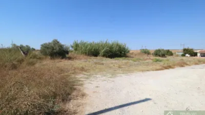 House in Guadalcacin photo 2