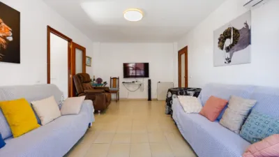 Pis – Torrevieja - Vista 5