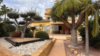Casa – Elx - Elche - Vista 4