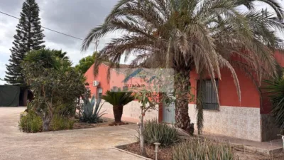 Casa – Elx - Elche - Más
