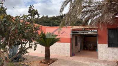 Casa – Elx - Elche - Vista 5