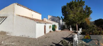 House in Albox photo 33