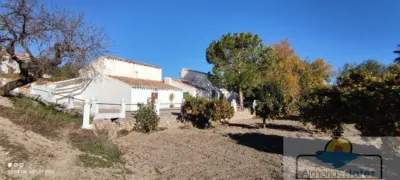 House in Albox photo 35