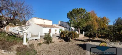 House in Albox photo 36