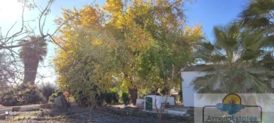 House in Albox photo 5