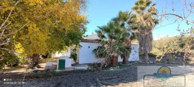 House in Albox photo 8