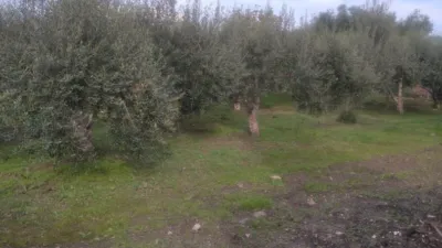 Rustic finca in Jabonero photo 15