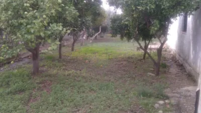 Rustic finca in Jabonero photo 17