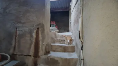House in the Centre photo 5