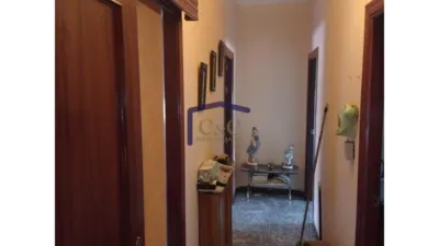 Miniatura 10