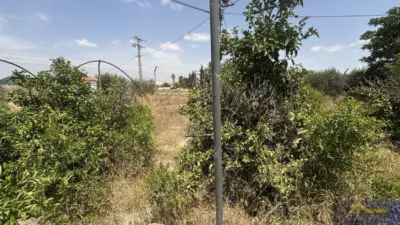 Rustic property on Calle Paraje Ruices, No. S/N photo 11