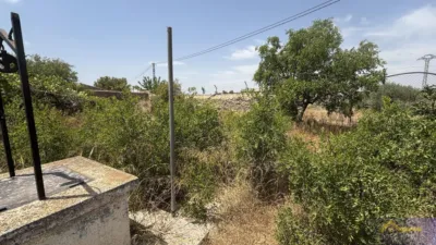 Rustic property on Calle Paraje Ruices, No. S/N photo 12