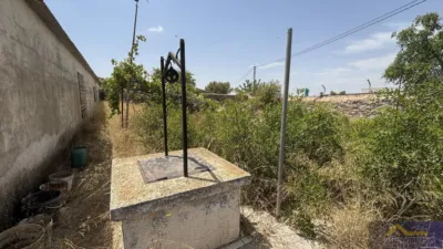 Rustic property on Calle Paraje Ruices, No. S/N photo 13