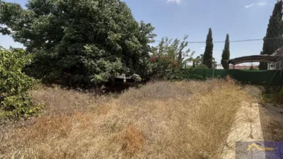Rustic property on Calle Paraje Ruices, No. S/N photo 17