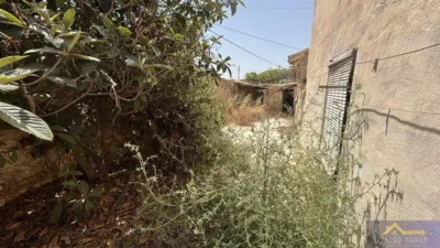 Rustic property on Calle Paraje Ruices, No. S/N photo 37