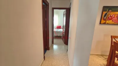 Apartment in Norte photo 2